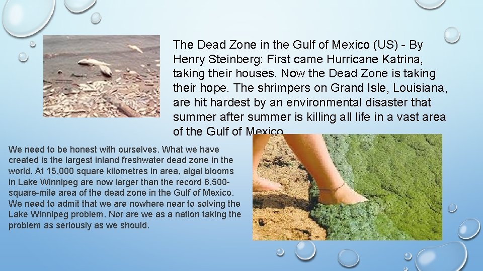 The Dead Zone in the Gulf of Mexico (US) - By Henry Steinberg: First