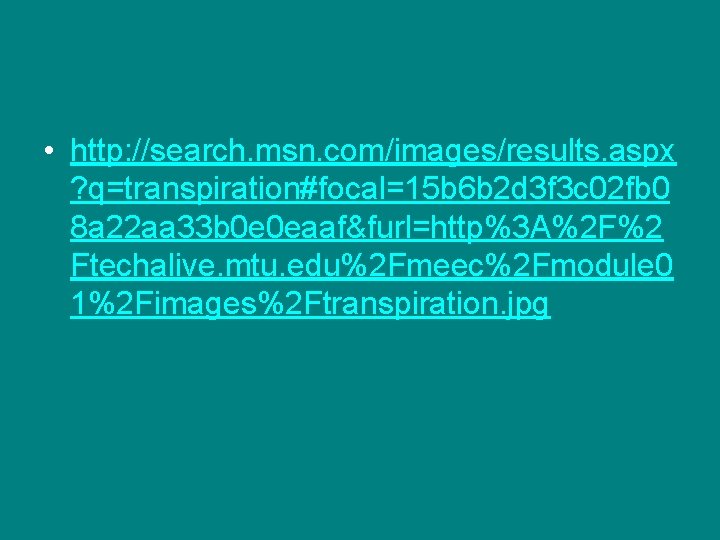 • http: //search. msn. com/images/results. aspx ? q=transpiration#focal=15 b 6 b 2 d