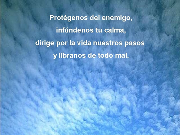 Protégenos del enemigo, infúndenos tu calma, dirige por la vida nuestros pasos y líbranos