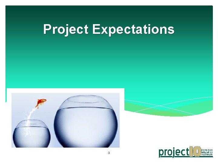 Project Expectations 3 