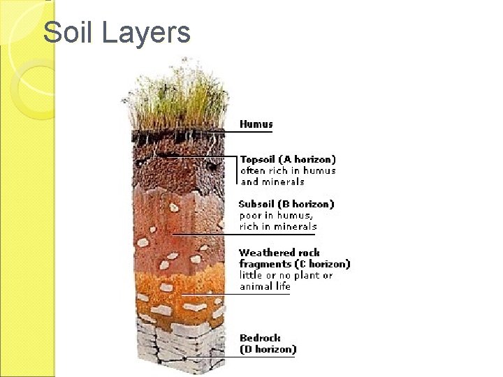 Soil Layers 