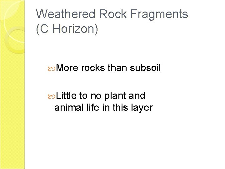 Weathered Rock Fragments (C Horizon) More Little rocks than subsoil to no plant and