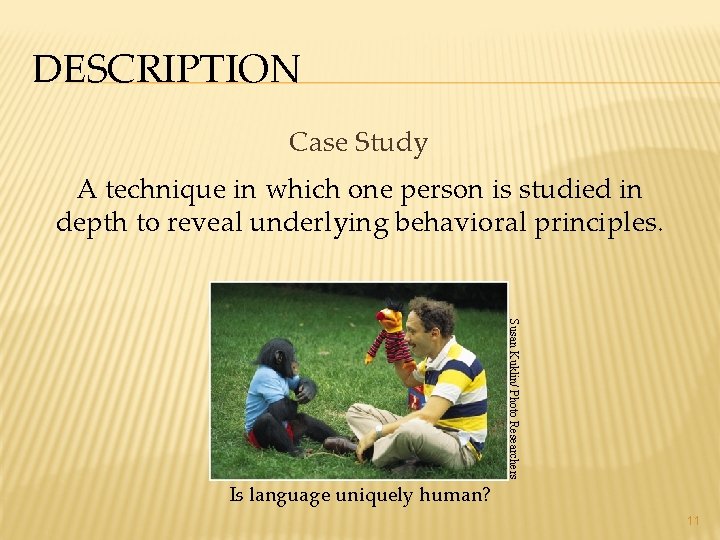 DESCRIPTION Case Study A technique in which one person is studied in depth to