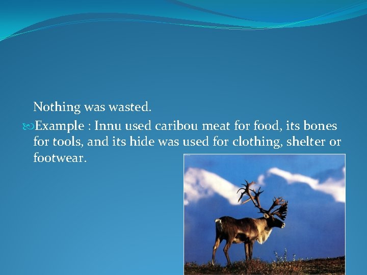 Nothing wasted. Example : Innu used caribou meat for food, its bones for tools,