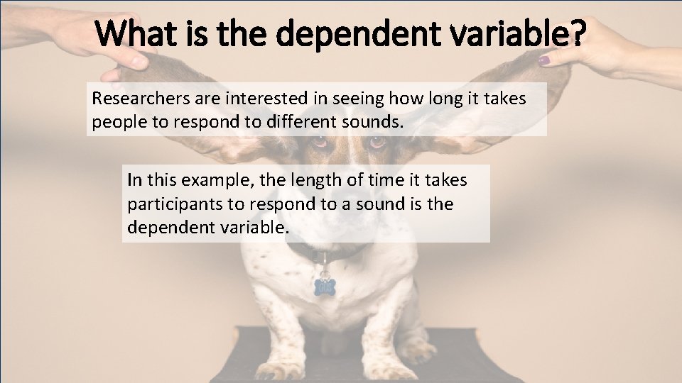 What is the dependent variable? Researchers are interested in seeing how long it takes