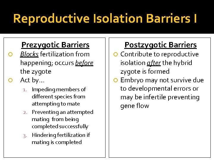Reproductive Isolation Barriers I Prezygotic Barriers Blocks fertilization from happening; occurs before the zygote