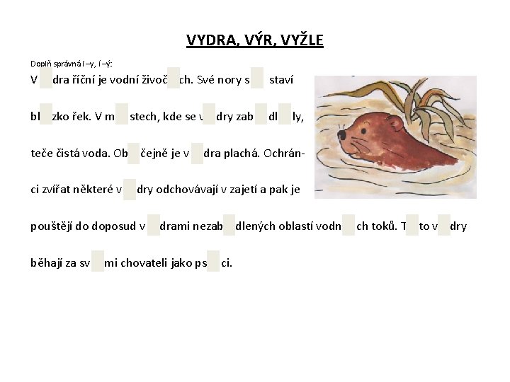 VYDRA, VÝR, VYŽLE Doplň správná i –y, í –ý: V dra říční je vodní