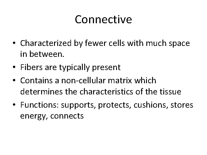 Connective • Characterized by fewer cells with much space in between. • Fibers are