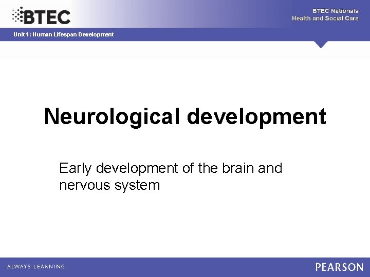 Unit 1: Human Lifespan Development Neurological development Early development of the brain and nervous