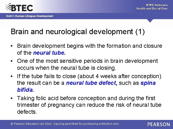 Unit 2: Human Lifespan Development Brain and neurological development (1) • Brain development begins