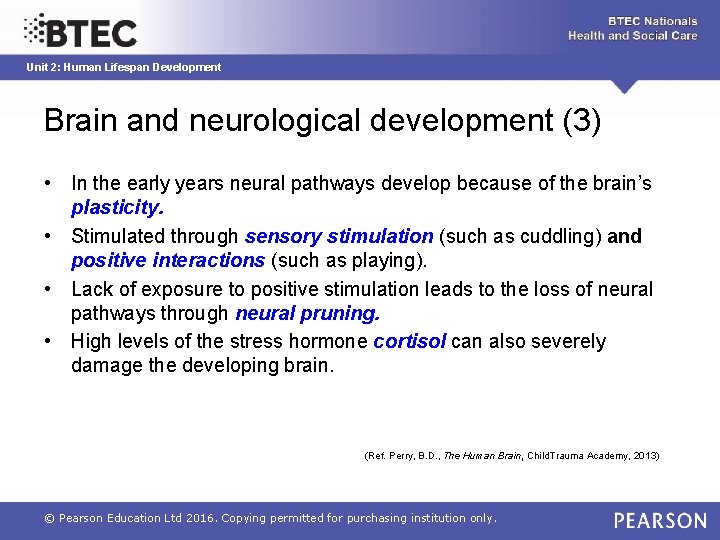 Unit 2: Human Lifespan Development Brain and neurological development (3) • In the early