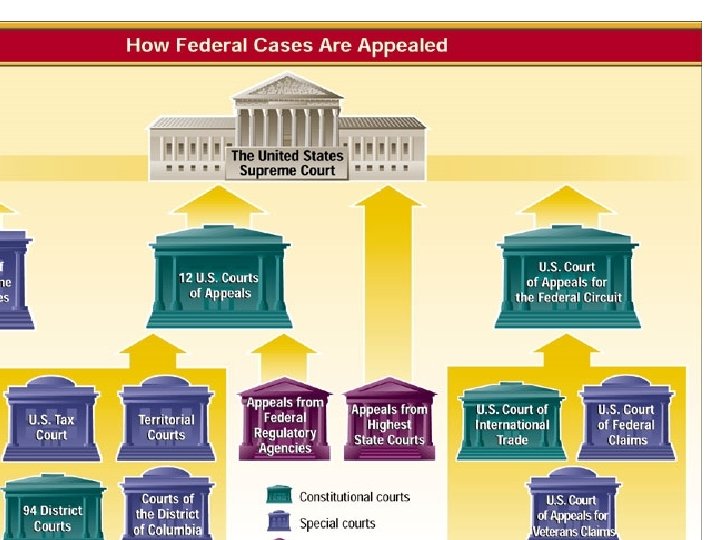 How Federal Cases Are Appealed 
