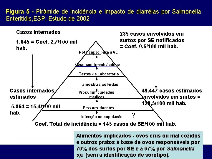 Figura 5 - Pirâmide de incidência e impacto de diarréias por Salmonella Enteritidis, ESP,
