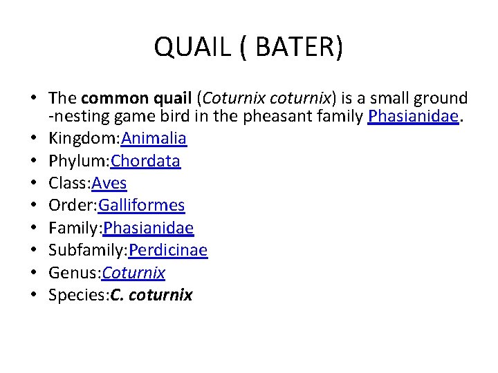 QUAIL ( BATER) • The common quail (Coturnix coturnix) is a small ground -nesting