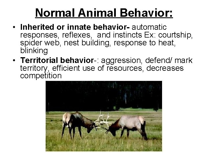 Normal Animal Behavior: • Inherited or innate behavior- automatic responses, reflexes, and instincts Ex: