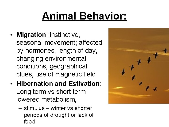 Animal Behavior: • Migration: instinctive, seasonal movement; affected by hormones, length of day, changing