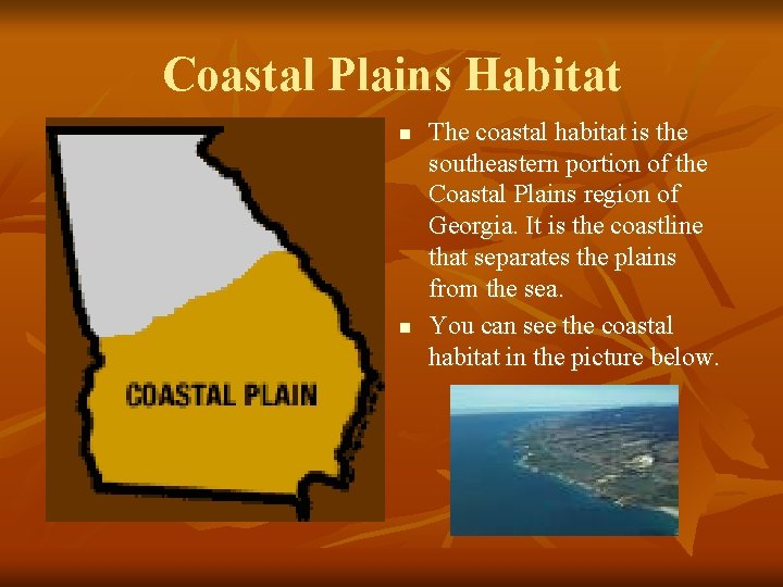 Coastal Plains Habitat n n The coastal habitat is the southeastern portion of the