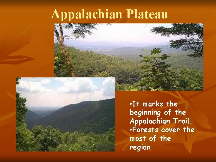Appalachian Plateau • It marks the beginning of the Appalachian Trail. • Forests cover