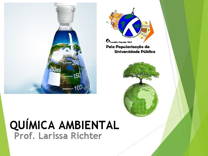 QUÍMICA AMBIENTAL Prof. Larissa Richter 