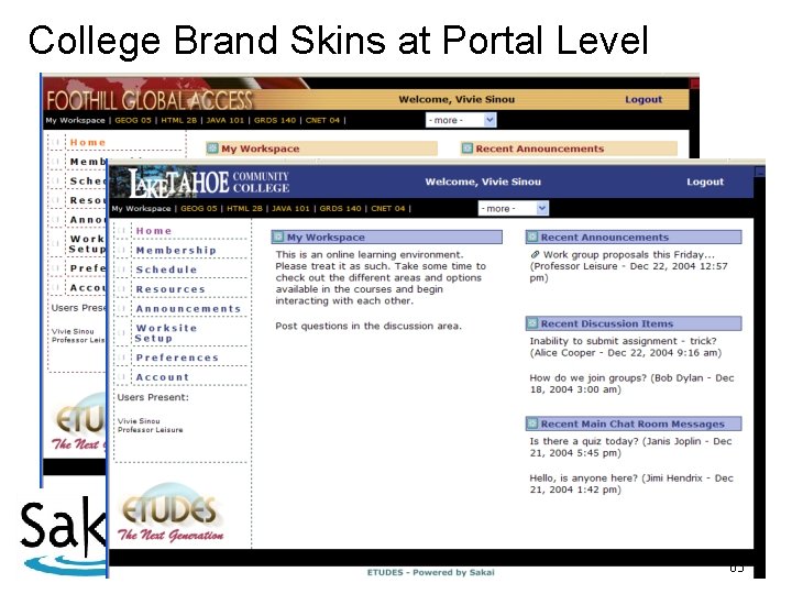 College Brand Skins at Portal Level 63 