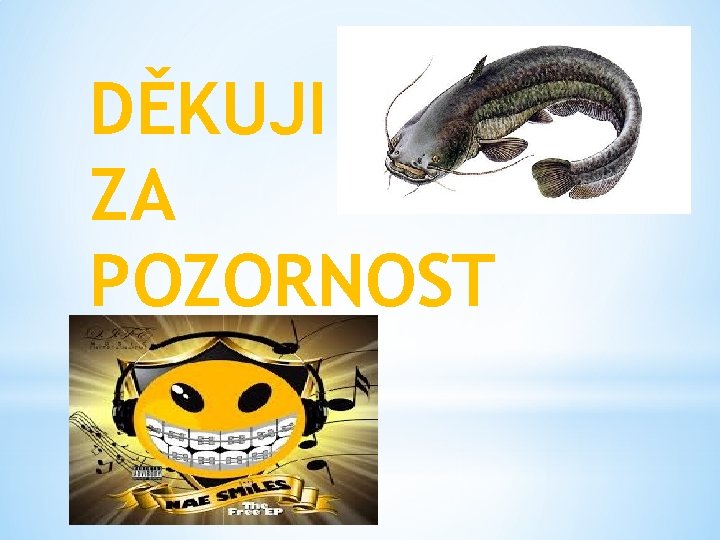 DĚKUJI ZA POZORNOST 