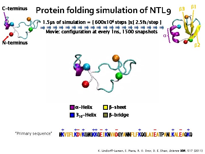 C-terminus Protein folding simulation of NTL 9 β 3 β 1 1. 5µs of