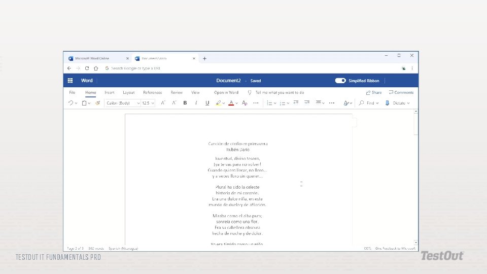 TESTOUT IT FUNDAMENTALS PRO TESTOUT IT FUNDAMENTALS PRO