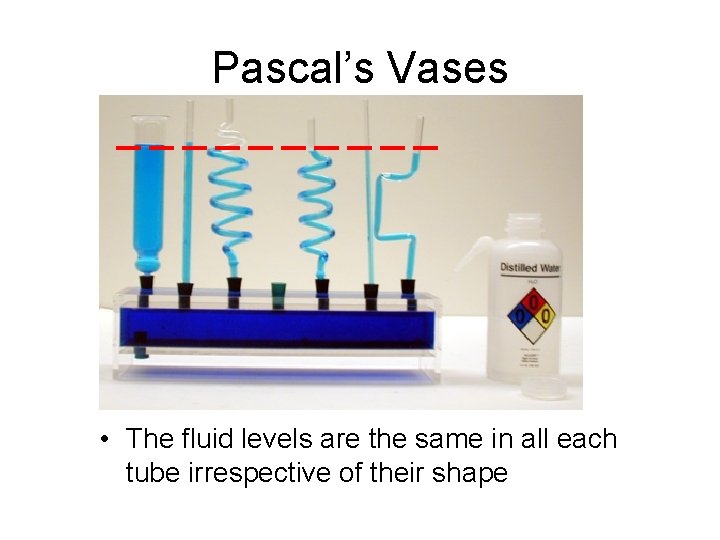 Pascal’s Vases • The fluid levels are the same in all each tube irrespective