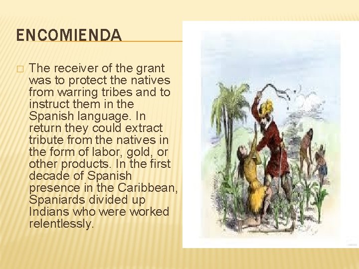 ENCOMIENDA � The receiver of the grant was to protect the natives from warring