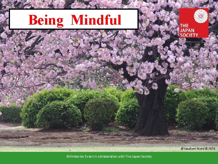 Being Mindful ©Yasufumi Nishi/© JNTO ©Kimberley Evans in collaboration with The Japan Society 1