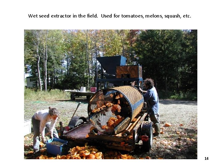 Wet seed extractor in the field. Used for tomatoes, melons, squash, etc. 14 