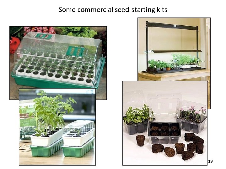 Some commercial seed-starting kits 19 