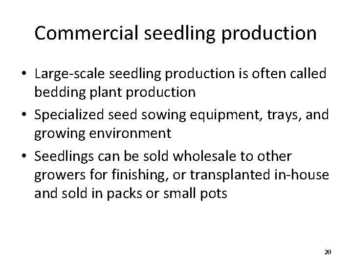 Commercial seedling production • Large-scale seedling production is often called bedding plant production •