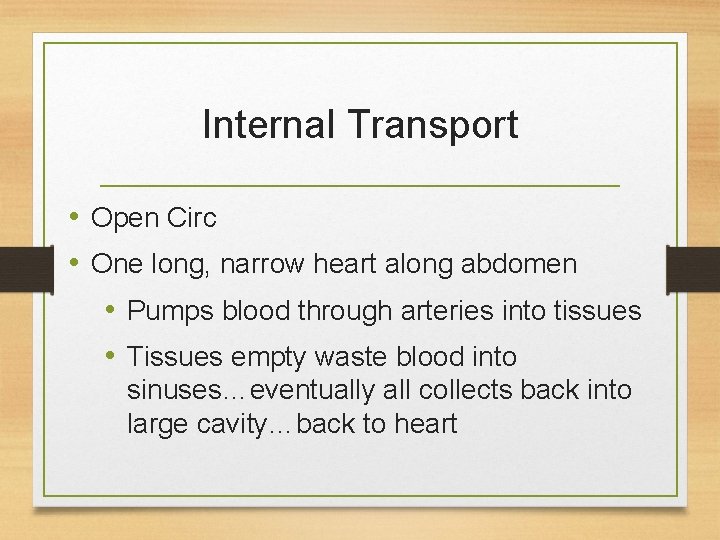 Internal Transport • Open Circ • One long, narrow heart along abdomen • Pumps