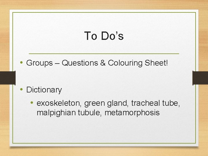 To Do’s • Groups – Questions & Colouring Sheet! • Dictionary • exoskeleton, green