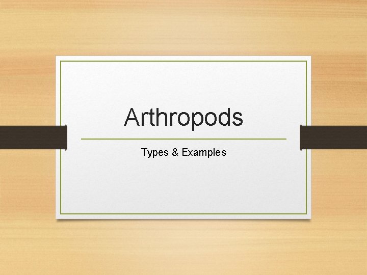 Arthropods Types & Examples 