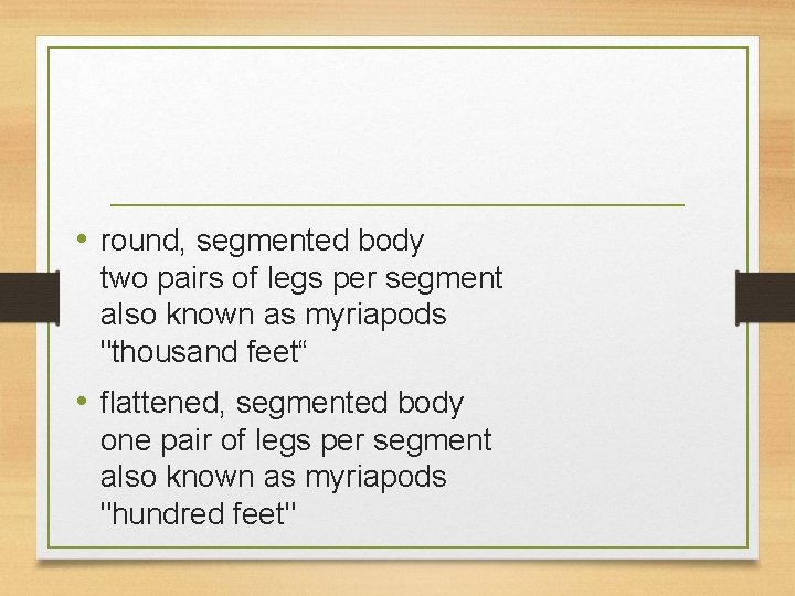  • round, segmented body two pairs of legs per segment also known as