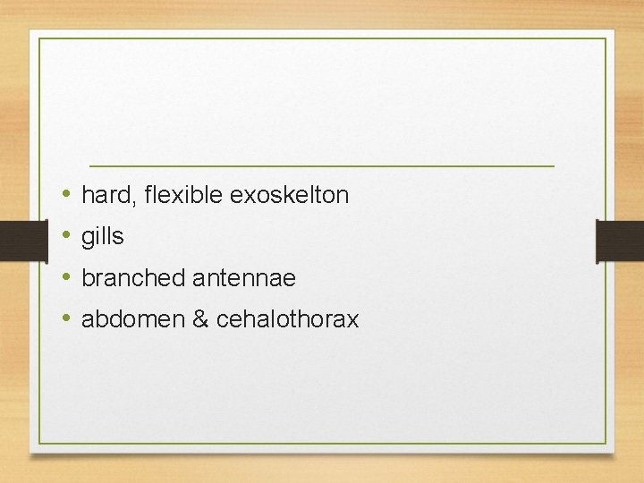  • • hard, flexible exoskelton gills branched antennae abdomen & cehalothorax 