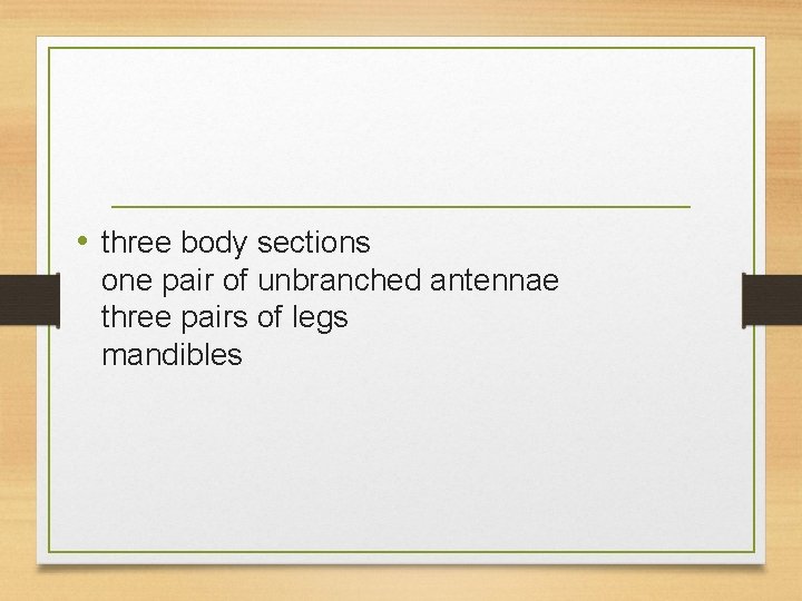  • three body sections one pair of unbranched antennae three pairs of legs