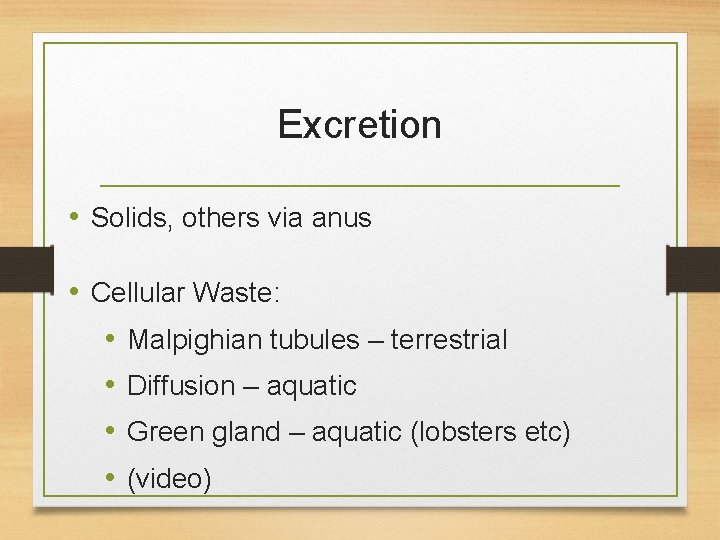 Excretion • Solids, others via anus • Cellular Waste: • Malpighian tubules – terrestrial