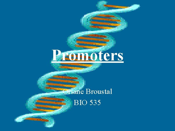 Promoters Oriane Broustal BIO 535 