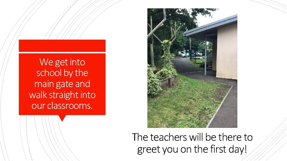 We get into school by the main gate and walk straight into our classrooms.