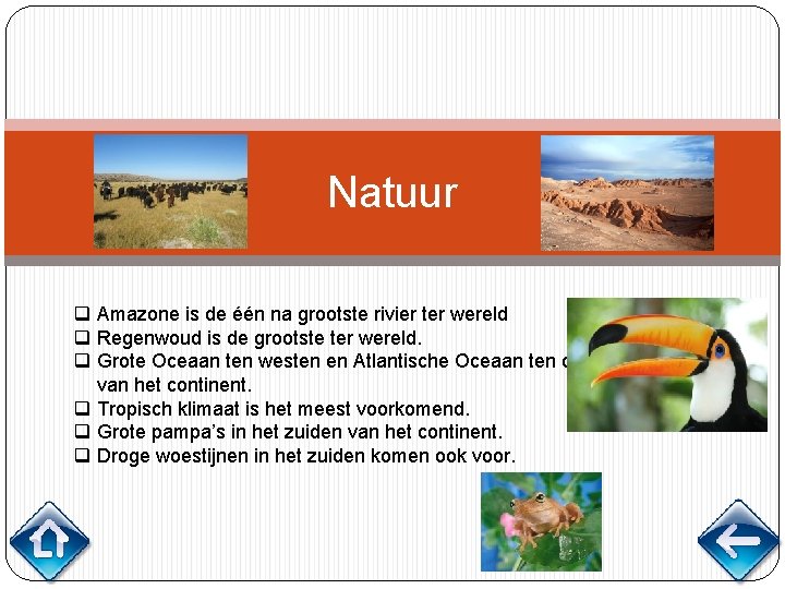 Natuur q Amazone is de één na grootste rivier ter wereld q Regenwoud is