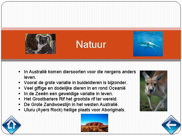 Natuur § In Australië komen diersoorten voor die nergens anders leven. § Vooral de
