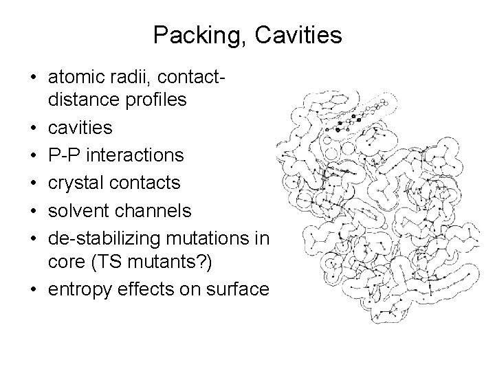 Packing, Cavities • atomic radii, contactdistance profiles • cavities • P-P interactions • crystal