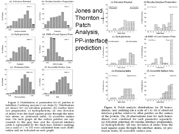 Jones and Thornton – Patch Analysis, PP-interface prediction 