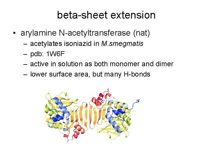 beta-sheet extension • arylamine N-acetyltransferase (nat) – – acetylates isoniazid in M. smegmatis pdb: