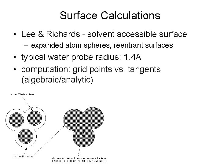 Surface Calculations • Lee & Richards - solvent accessible surface – expanded atom spheres,