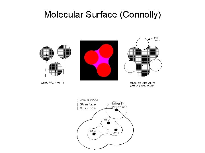 Molecular Surface (Connolly) 