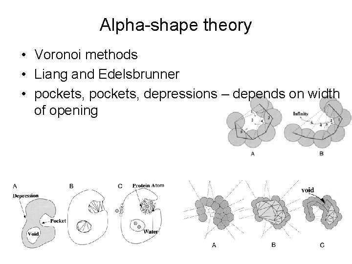 Alpha-shape theory • Voronoi methods • Liang and Edelsbrunner • pockets, depressions – depends